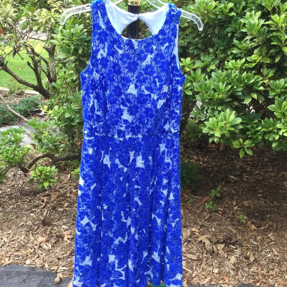 Special Blue-White Floral Lace Midi Dress